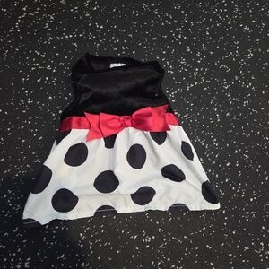 Dog: Black Velvet Top White Polka Dot Skirt with Hot Pink Bow Dress